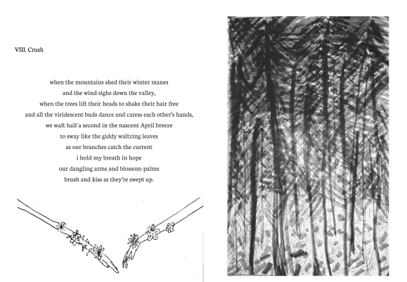 Screen Shot 2019-02-09 at 12.06.28 AM