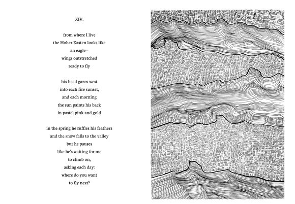 Screen Shot 2019-02-09 at 12.06.59 AM